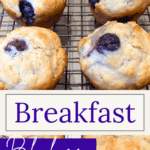 Breakfast Blueberry Muffins