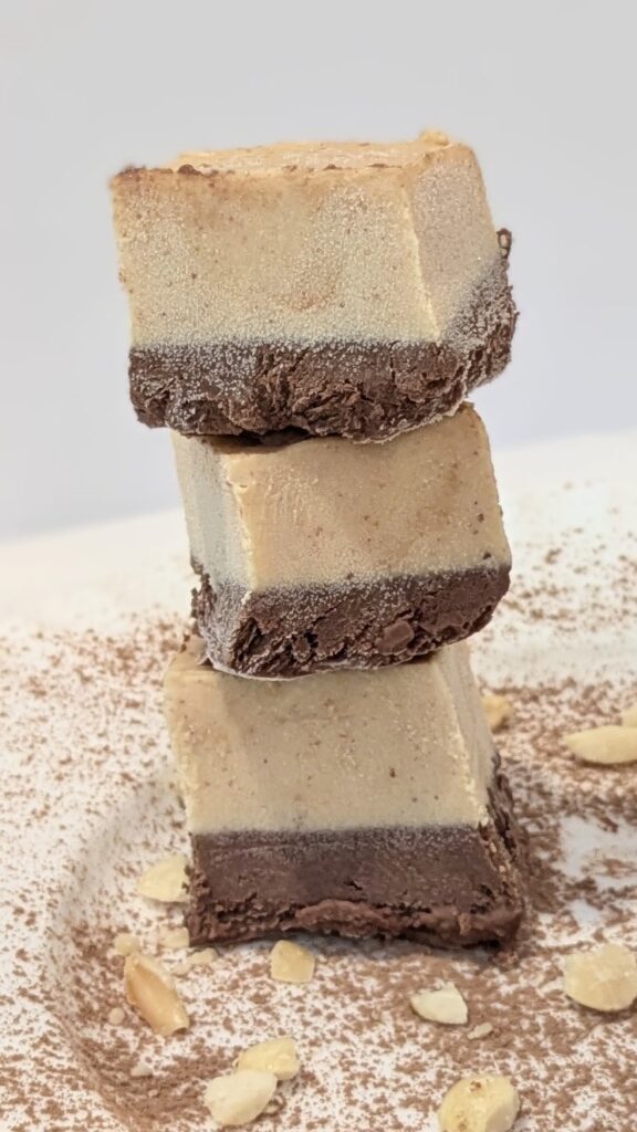 Image of Chocolate Peanut Butter Frozen Yogurt Bites