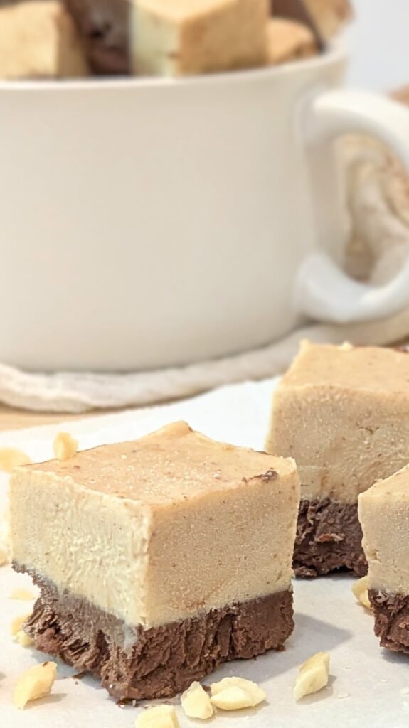 Image of Chocolate Peanut Butter Frozen Yogurt Bites