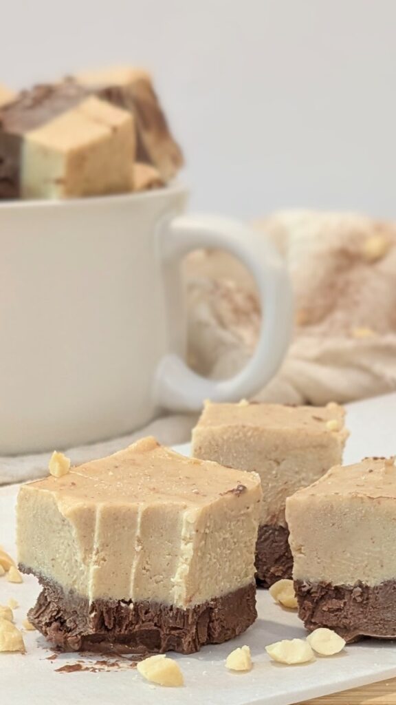 Image of Chocolate Peanut Butter Frozen Yogurt Bites