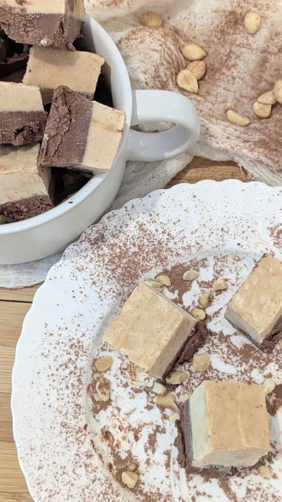 Image of Chocolate Peanut Butter Frozen Yogurt Bites
