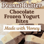Peanut Butter Chocolate Frozen Yogurt Bites Sweetened with Honey
