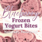 Blueberry Frozen Yogurt Bites Naturally Sweetened