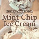 Honey Sweetened Mint Chocolate Chip Ice Cream
