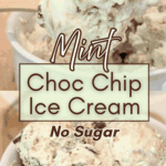 Mint Choc Chip Ice Cream