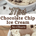 Mint Chocolate Chip Ice Cream No Churn