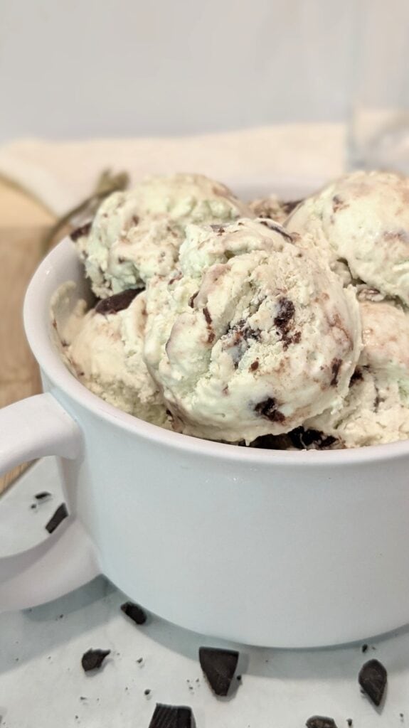Image of Mint Chocolate Chip Ice Cream