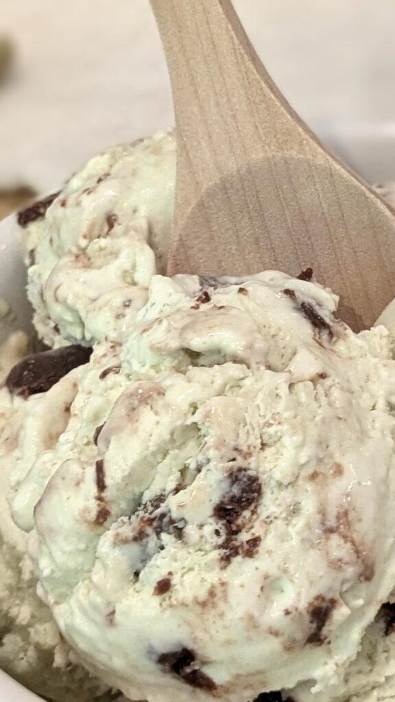 Image of Mint Chocolate Chip Ice Cream