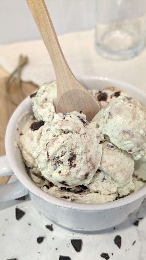 Image of Mint Chocolate Chip Ice Cream