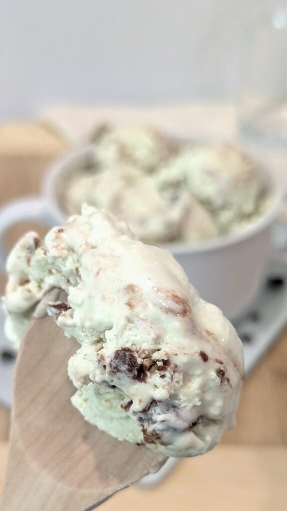 Image of Mint Chocolate Chip Ice Cream