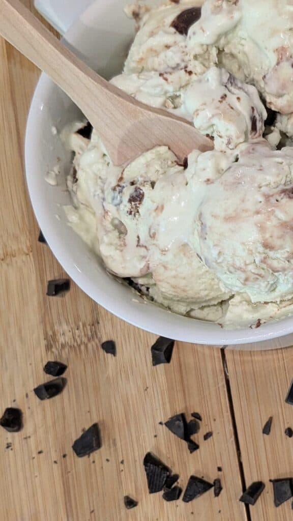Image of Mint Chocolate Chip Ice Cream