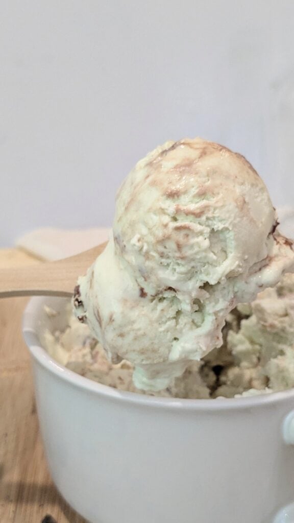 Image of Mint Chocolate Chip Ice Cream