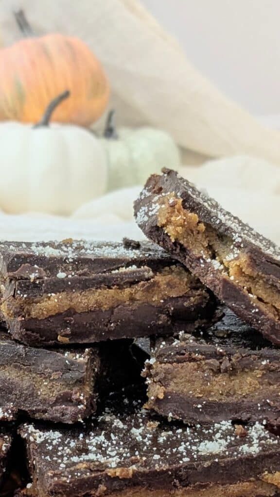 Image of Chocolate Pumpkin Bars