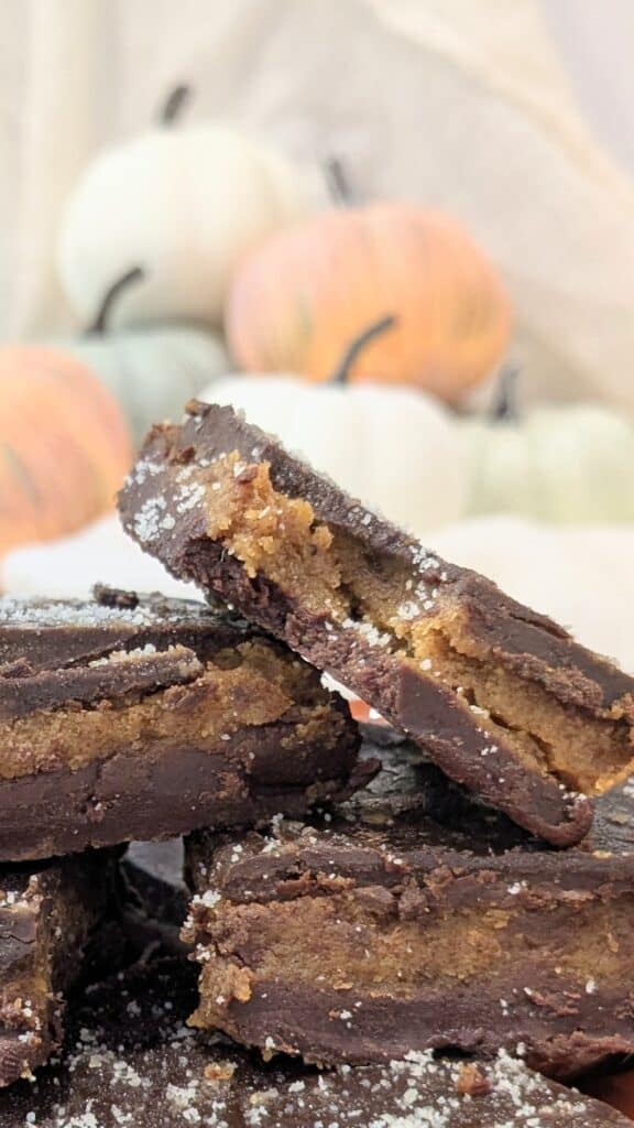Image of Chocolate Pumpkin Bars