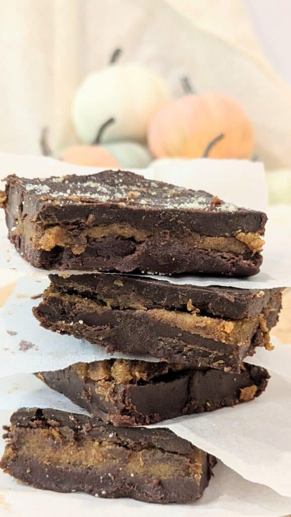 Image of Chocolate Pumpkin Bars