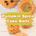 Pumpkin Spice Cake Balls