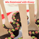 Homemade Hot Chocolate Spoons