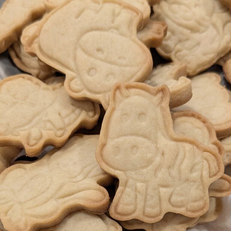 Healthy Homemade Animal Crackers