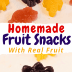 Homemade Fruit Snacks with Real Fruit