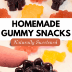 Homemade Gummy Snacks Naturally Sweetened