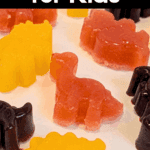 No Sugar Fruit Snacks for Kids