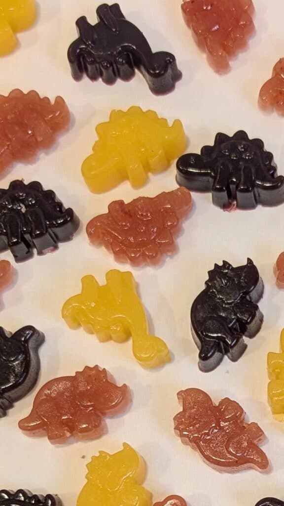 Image of Healthy Homemade Gummies for Kids