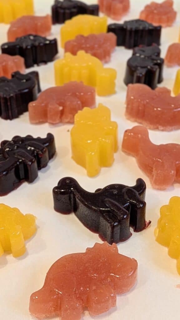 Image of Healthy Gummies for Kids
