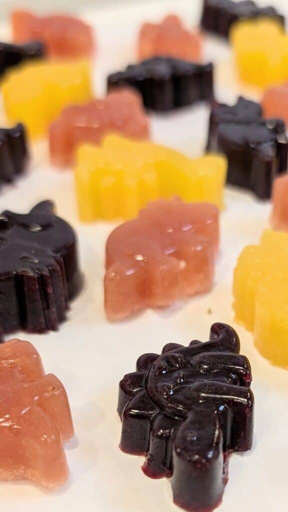 Image of Healthy Fruit Snacks Made with Real Fruit