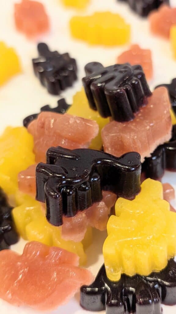 Image of Refined Sugar Free Gummies