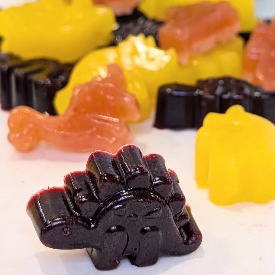 Image of Homemade Fruit Snacks