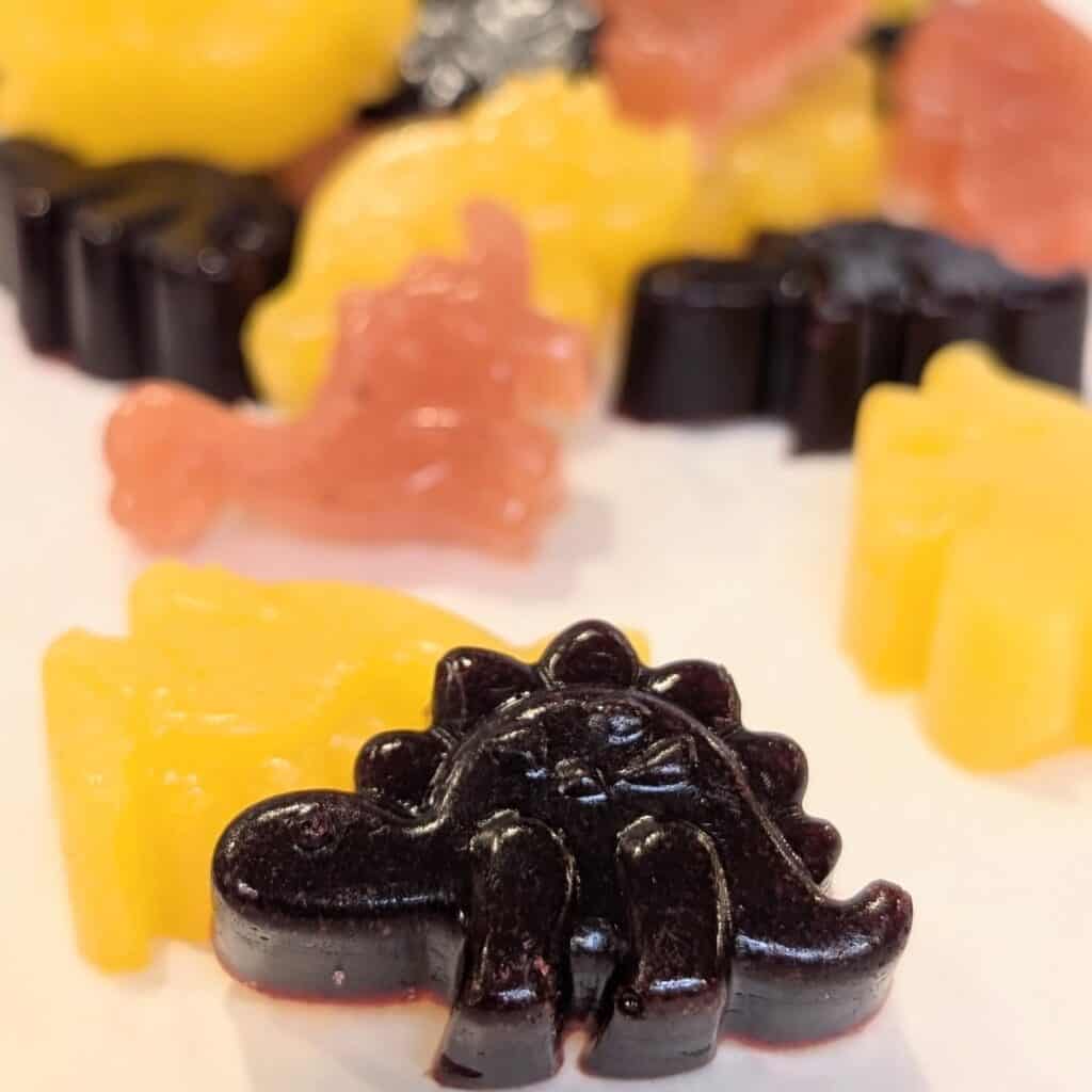 Image of Refined Sugar Free Gummies