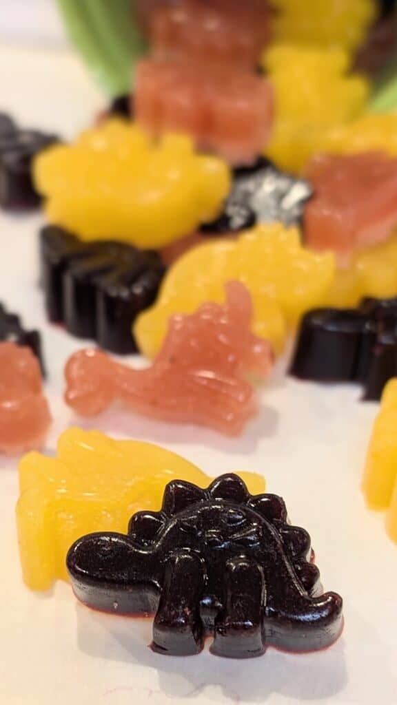 Image of Healthy Gelatin Fruit Snacks
