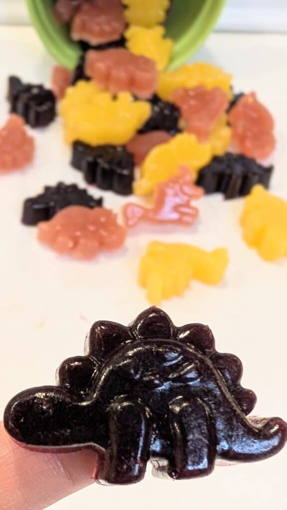 Image of Healthy Gelatin Gummies