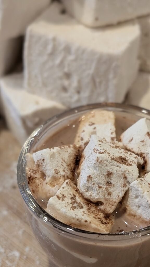 Image of Homemade Marshmallows in Hot Chocolate
