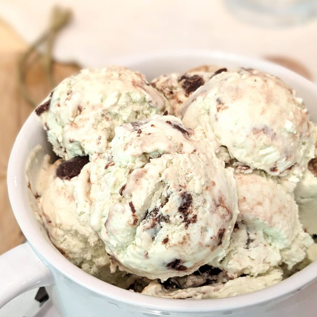 Mint Chip Ice Cream