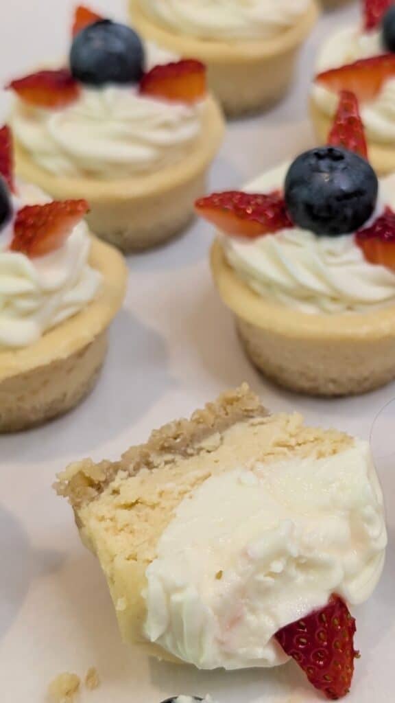 Refined Sugar Free Cheesecake Bites