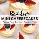 Best Ever Mini Cheesecakes - Super Easy Recipe, Gluten Free