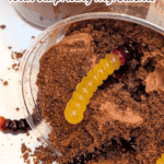Creamy Worms & Dirt Cups for Kids with Surprise Ingredients